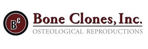 Bone Clones 2