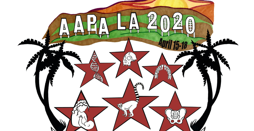 AAPA2020_meetings_logo.png