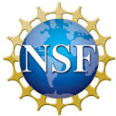 NSF Logo.png