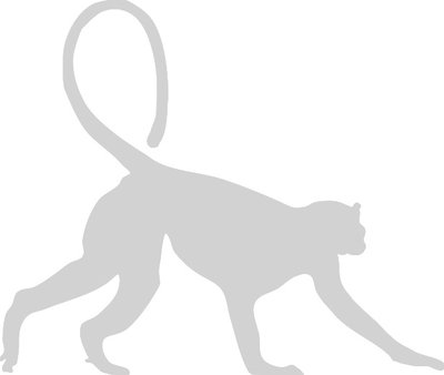 silhouette of a monkey