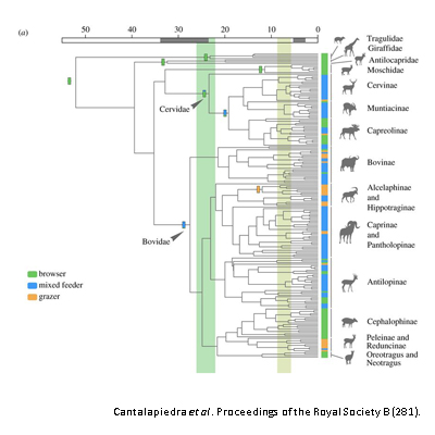 Online course: Introduction to Macroevolutionary Analyses Using ...